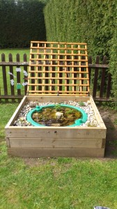 Frog pond at Roxwell Preschool