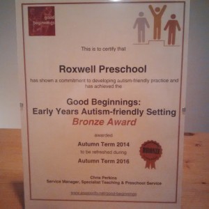 Autism Bronze Award 2014